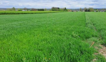 Działka rolno-budowlana Lublin Zemborzyce Górne, ul. Ku Słońcu