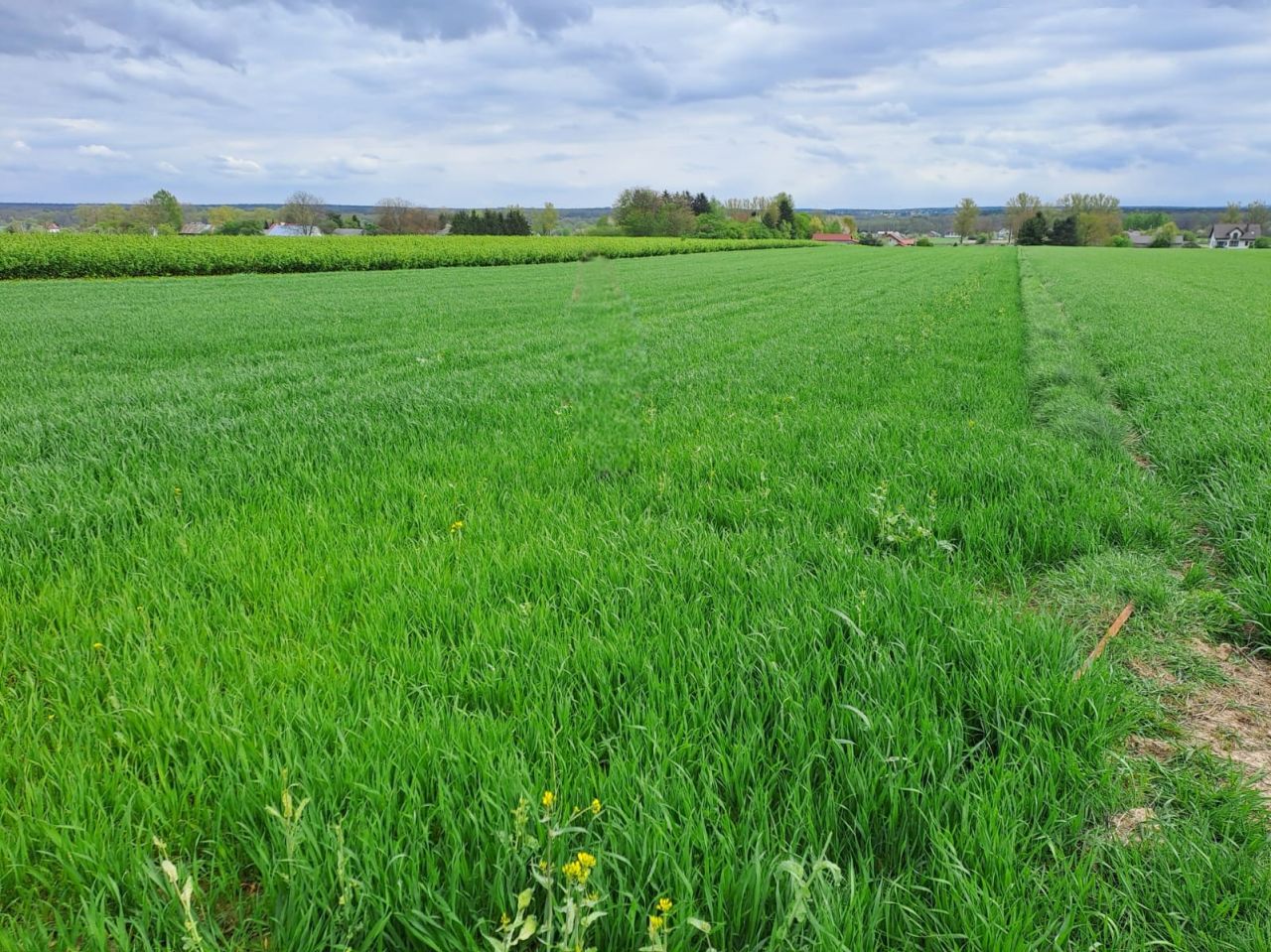 Działka rolno-budowlana Lublin Zemborzyce Górne, ul. Ku Słońcu. Zdjęcie 2