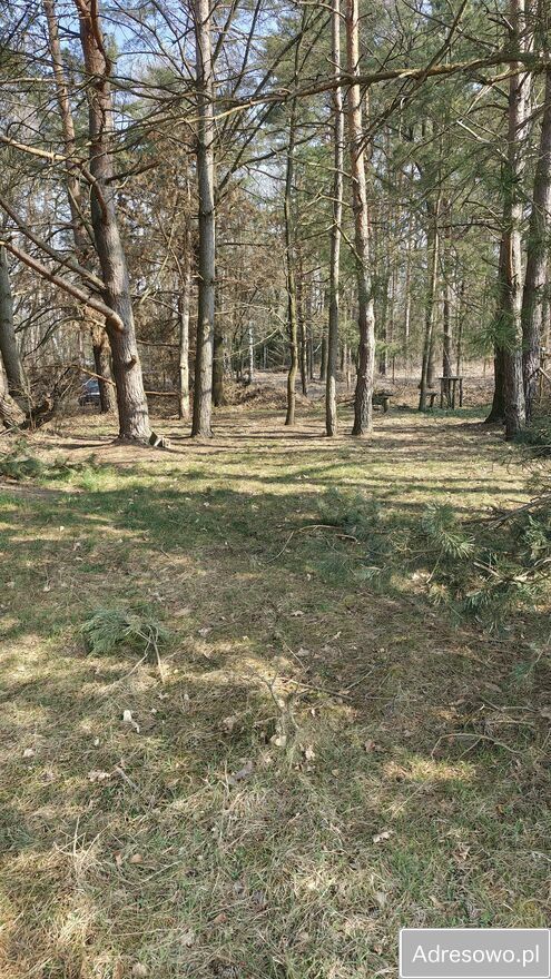 Działka siedliskowa Pogórska Wola. Zdjęcie 4