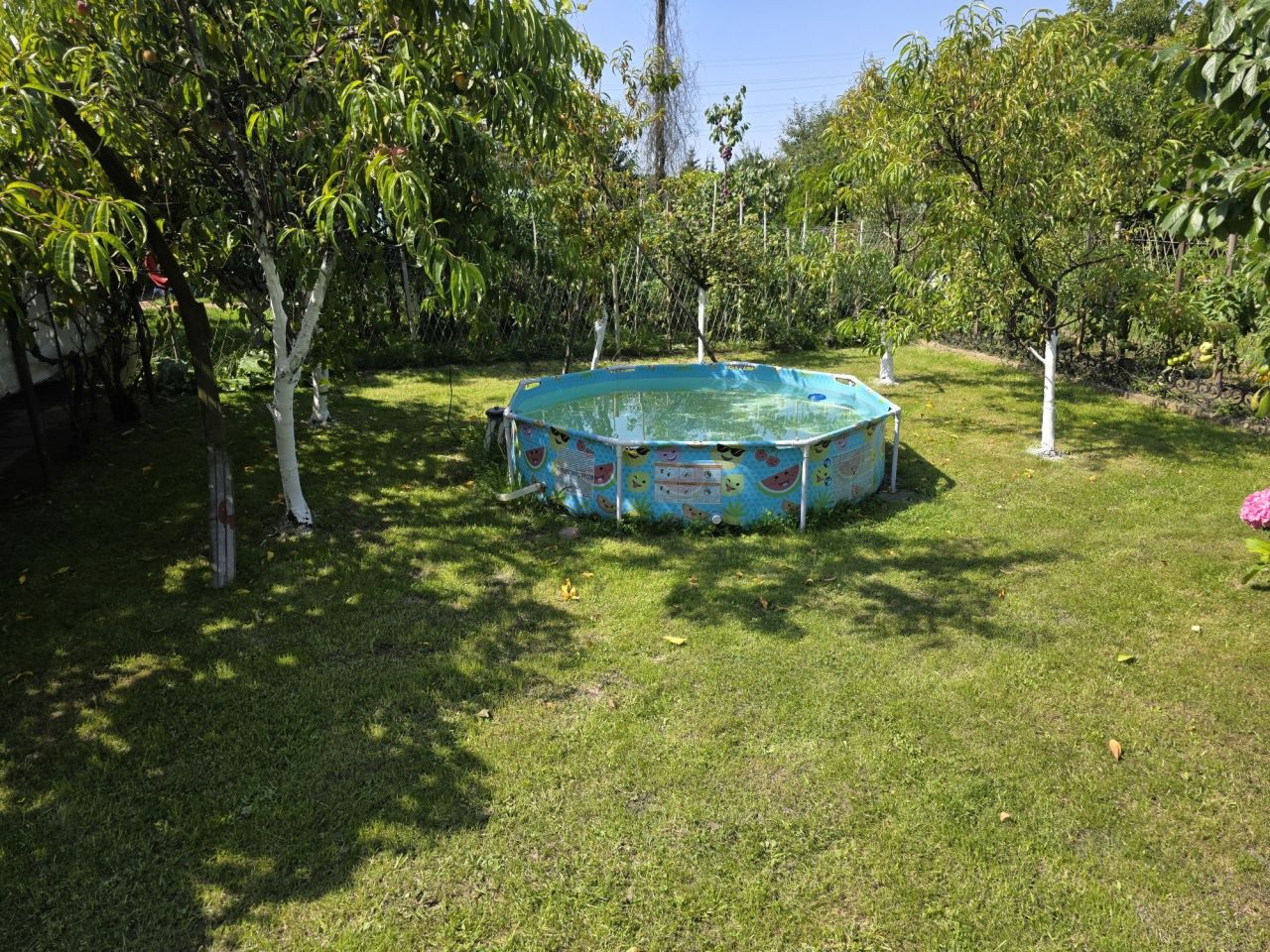 Działka rod Zabrze Grzybowice. Zdjęcie 4