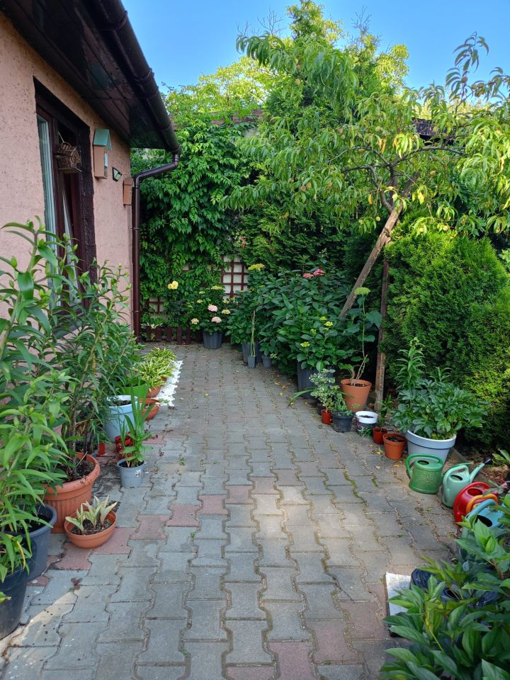 Działka rod Mysłowice Brzęczkowice, ul. Podgórska 30. Zdjęcie 10