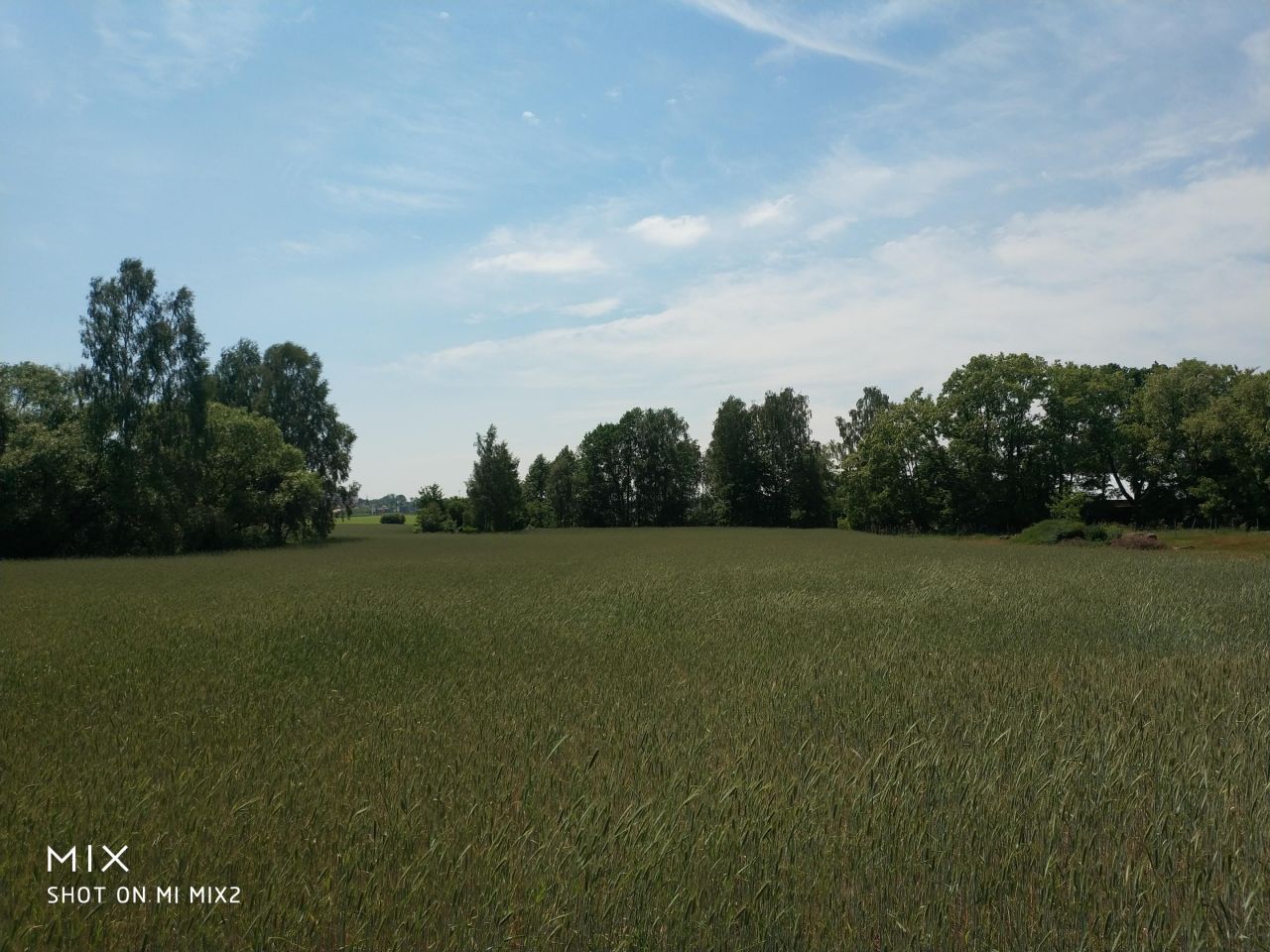 Działka siedliskowa Smolice, Smolice. Zdjęcie 6