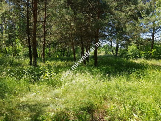 Działka budowlana Kuklówka Radziejowicka, www.mkwadrat.eu. Zdjęcie 5