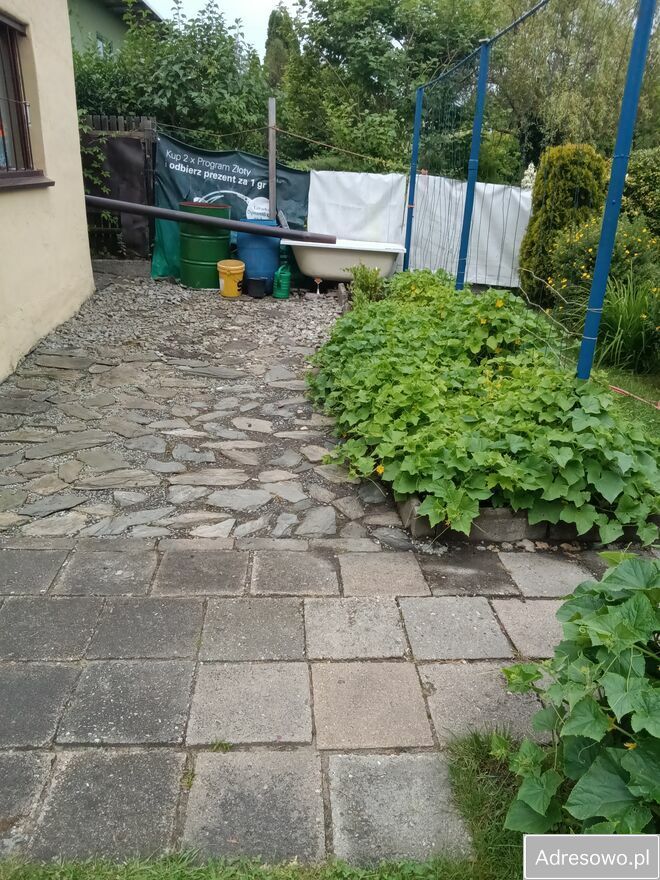 Działka rod Bytom. Zdjęcie 3