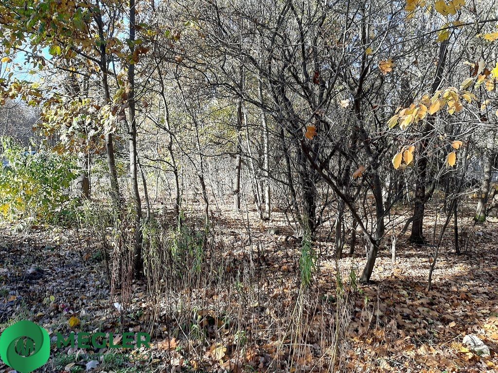 Działka budowlana Żółwin. Zdjęcie 1