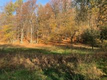 Działka budowlana Staniszów, ul. Witosza. Zdjęcie 1