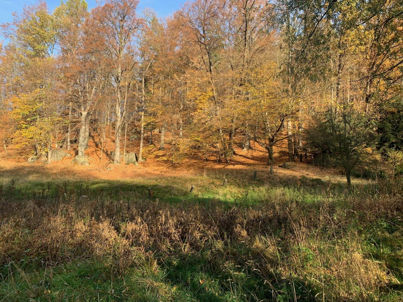 Działka budowlana Staniszów, ul. Witosza. Zdjęcie 2