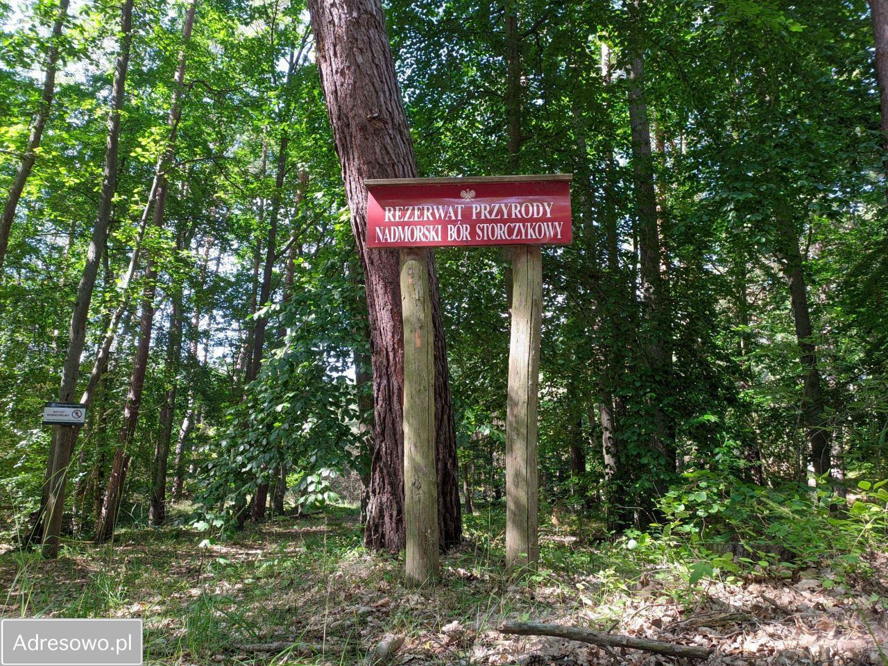 Działka rekreacyjna Kołczewo Wartowo. Zdjęcie 8