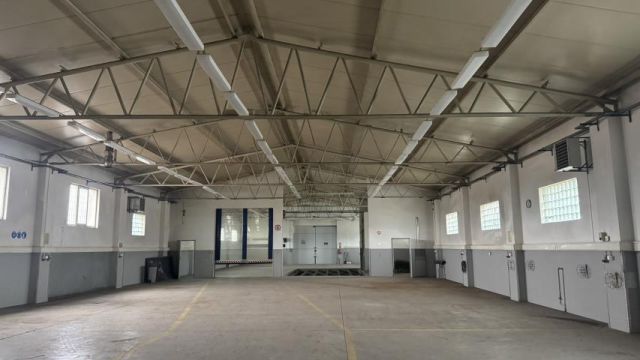 Lokal Brzeźnik. Zdjęcie 4