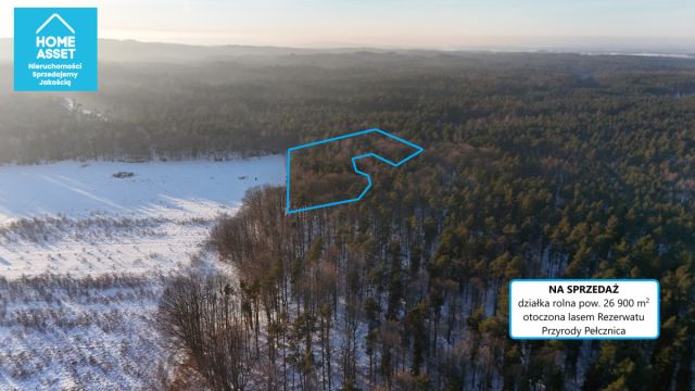 Działka rolna Bieszkowice. Zdjęcie 3