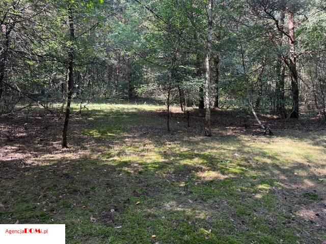 Działka budowlana Siestrzeń. Zdjęcie 6