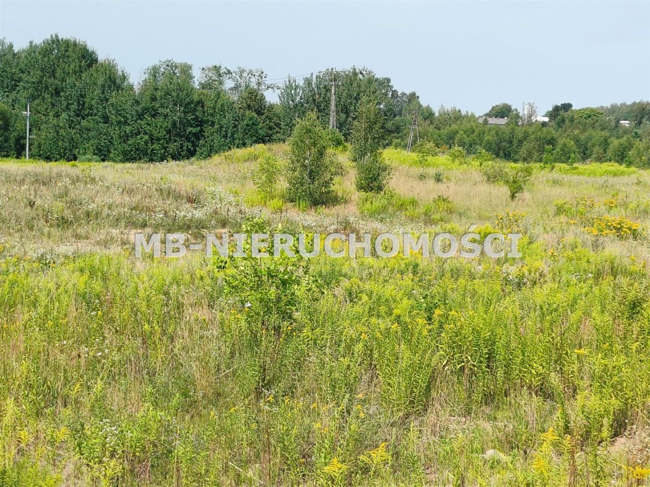 Działka inwestycyjna Barczewo. Zdjęcie 3