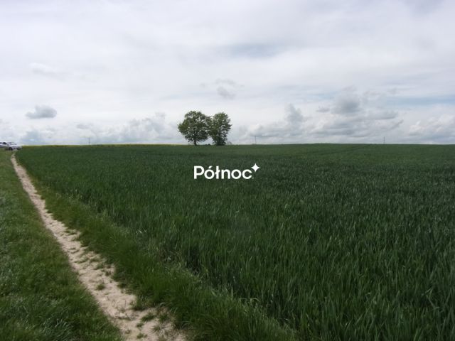 Działka rolna Wartowice. Zdjęcie 5