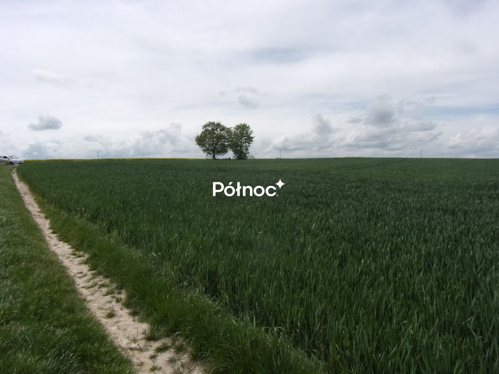 Działka rolna Wartowice. Zdjęcie 5