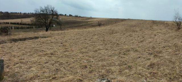 Działka rolna Olkusz Skalskie, ul. Jasna. Zdjęcie 1