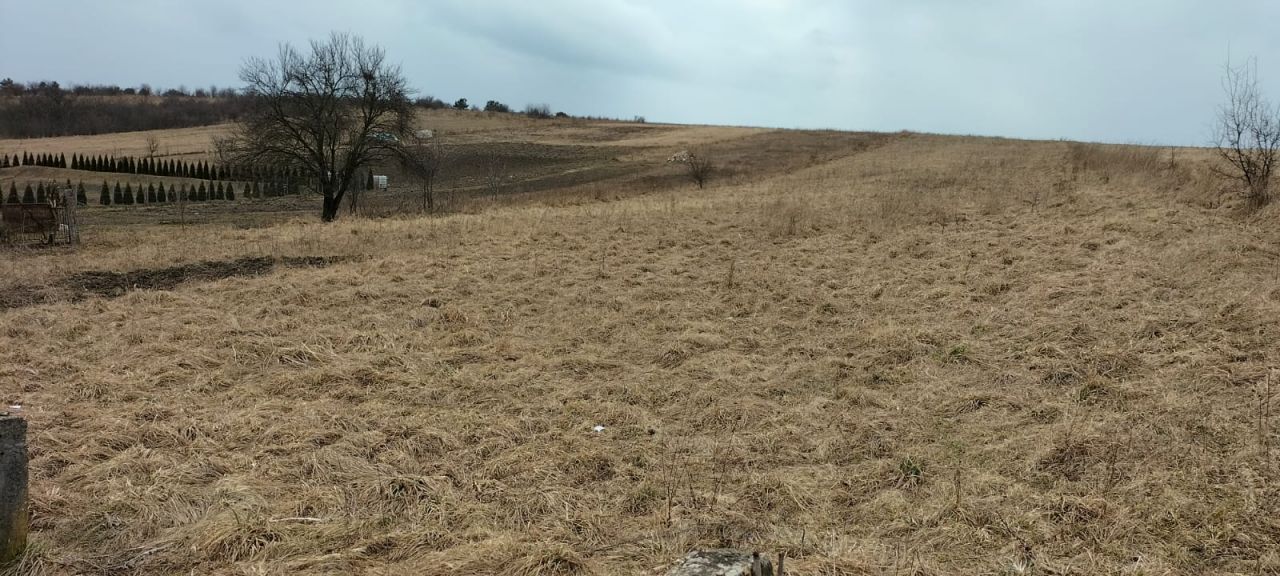 Działka rolna Olkusz Skalskie, ul. Jasna