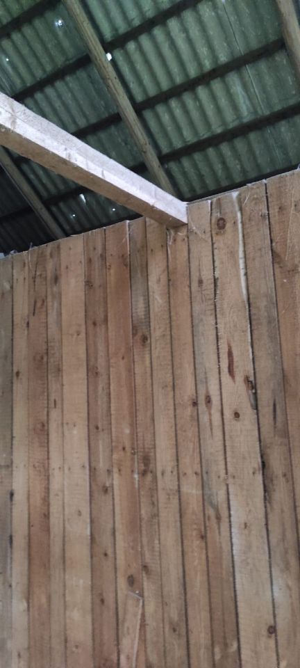 Działka rolno-budowlana Białowieża, ul. Wojciechówka. Zdjęcie 9