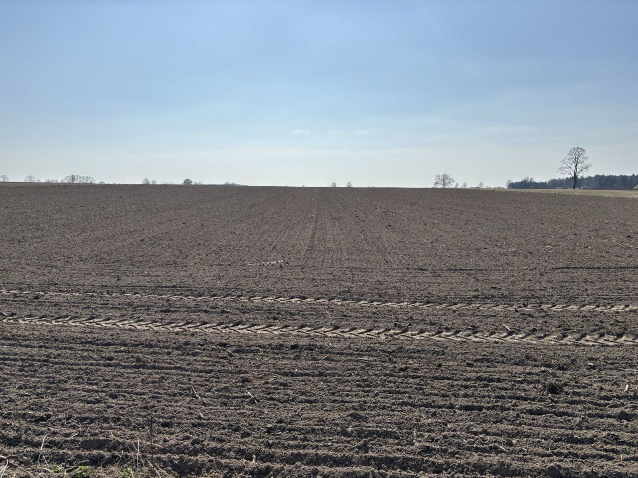 inny, 10 pokoi Wielgolas, ul. Mińska. Zdjęcie 5