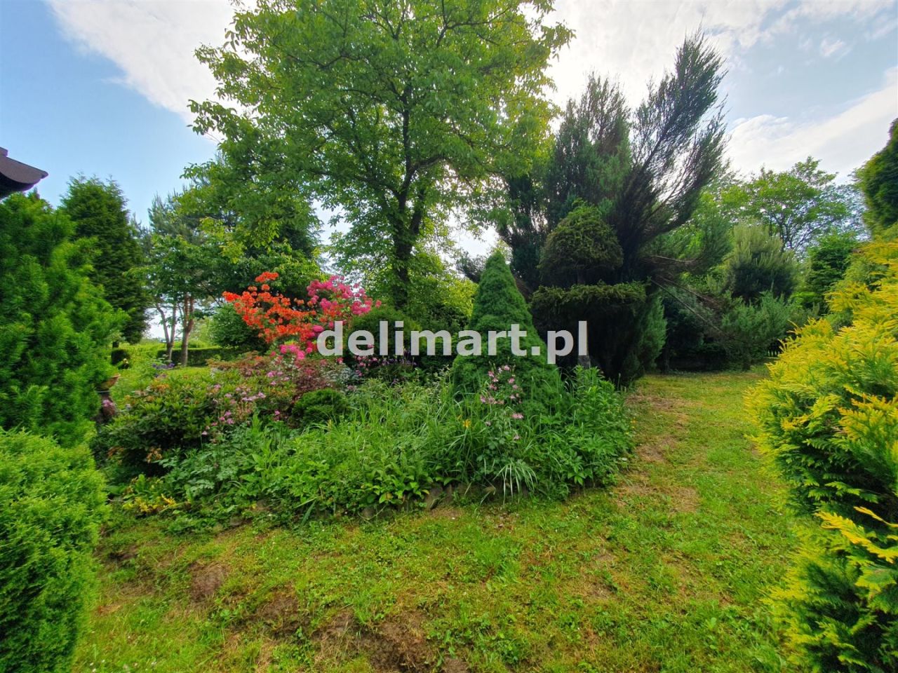 Działka rod Sanok Posada Sanocka, ul. Działkowa. Zdjęcie 10