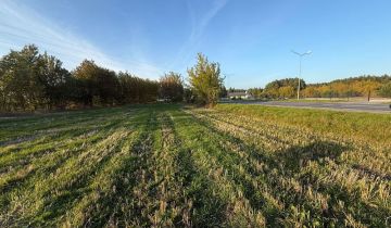 Działka budowlana Włoszczowa, ul. Młynarska