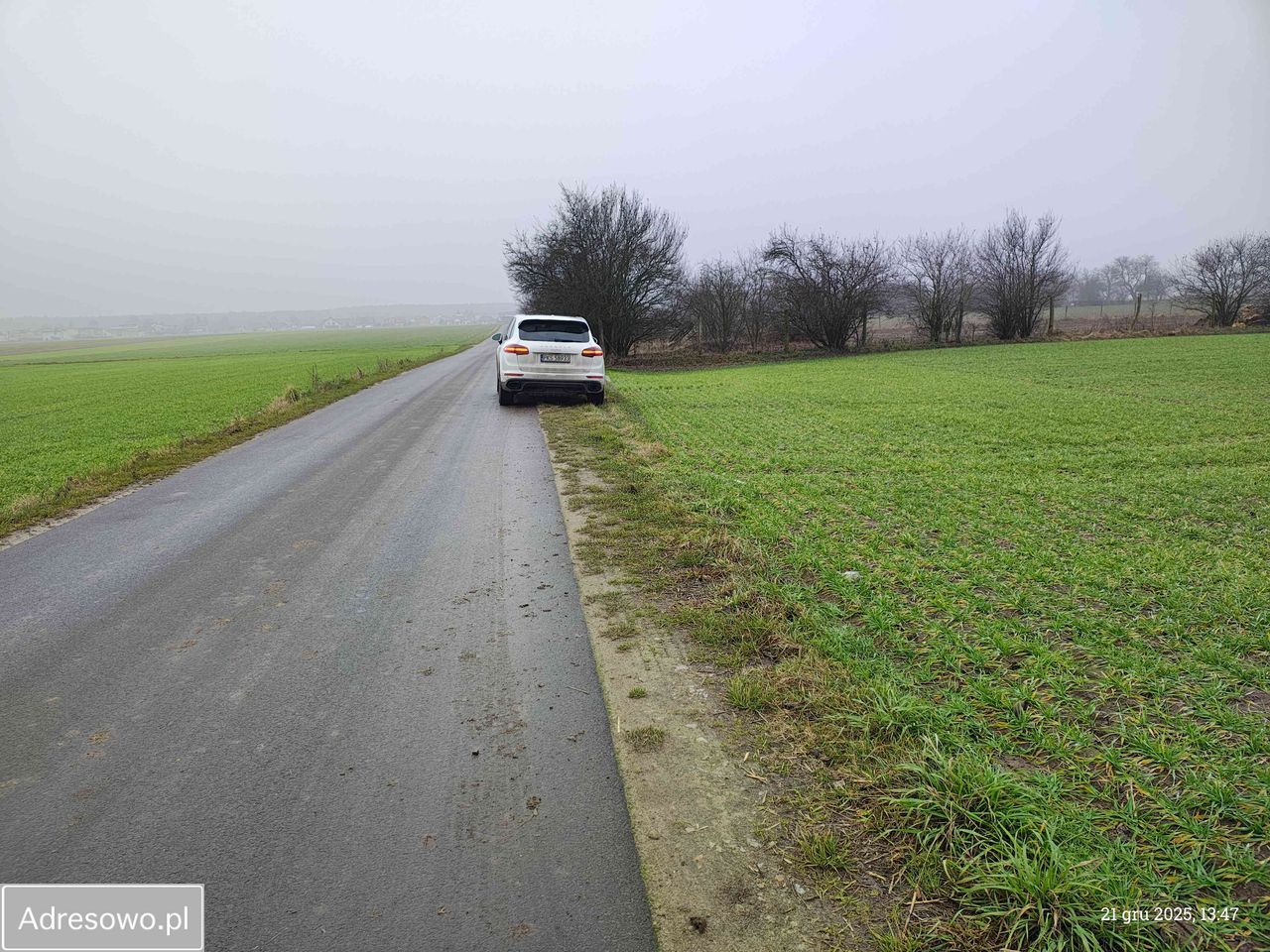 Działka rolna Nowy Lubosz. Zdjęcie 2