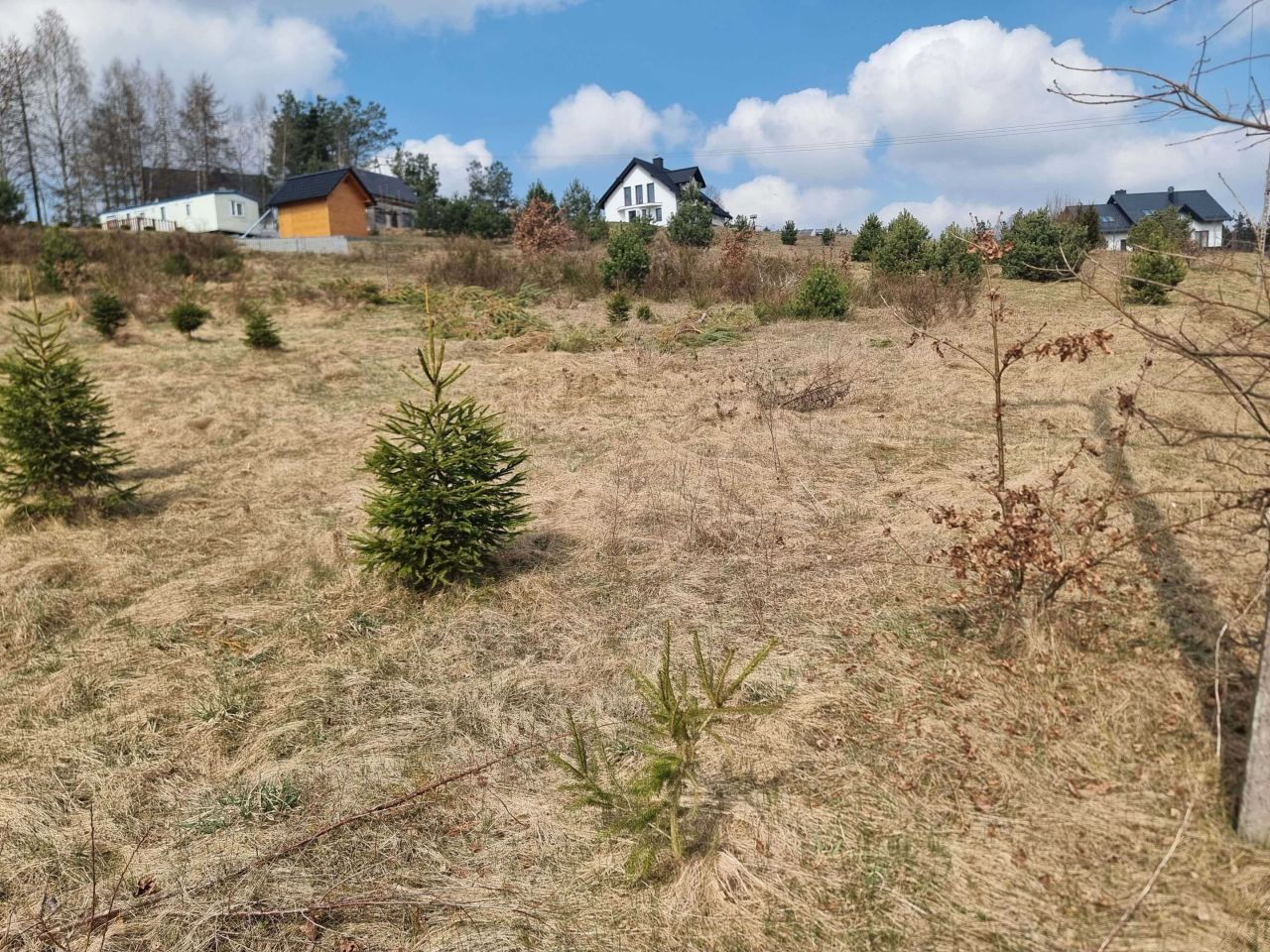 Działka budowlana Borucino. Zdjęcie 6