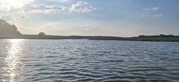 Działka rod Prądocin. Zdjęcie 7