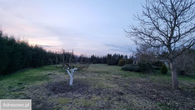 Działka inwestycyjna Gronowo Górne, ul. Bursztynowa. Zdjęcie 1