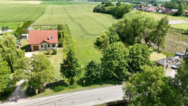 Działka rolna Smętowo Graniczne. Zdjęcie 1