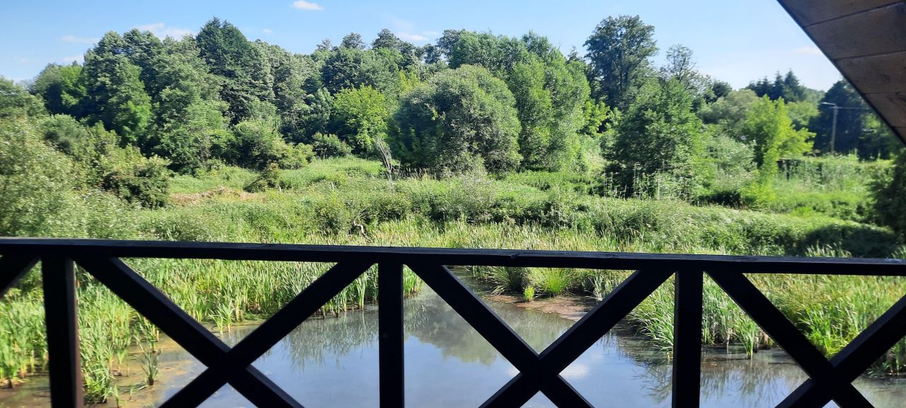 siedlisko, 3 pokoje Dąbrowa