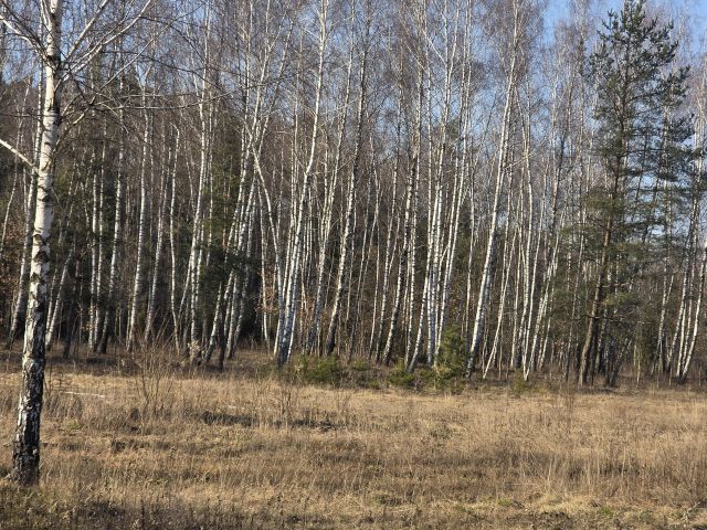 Działka rolno-budowlana Leontyna, Dębowa. Zdjęcie 5