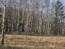 Działka rolno-budowlana Leontyna, ul. Dębowa. Zdjęcie 4