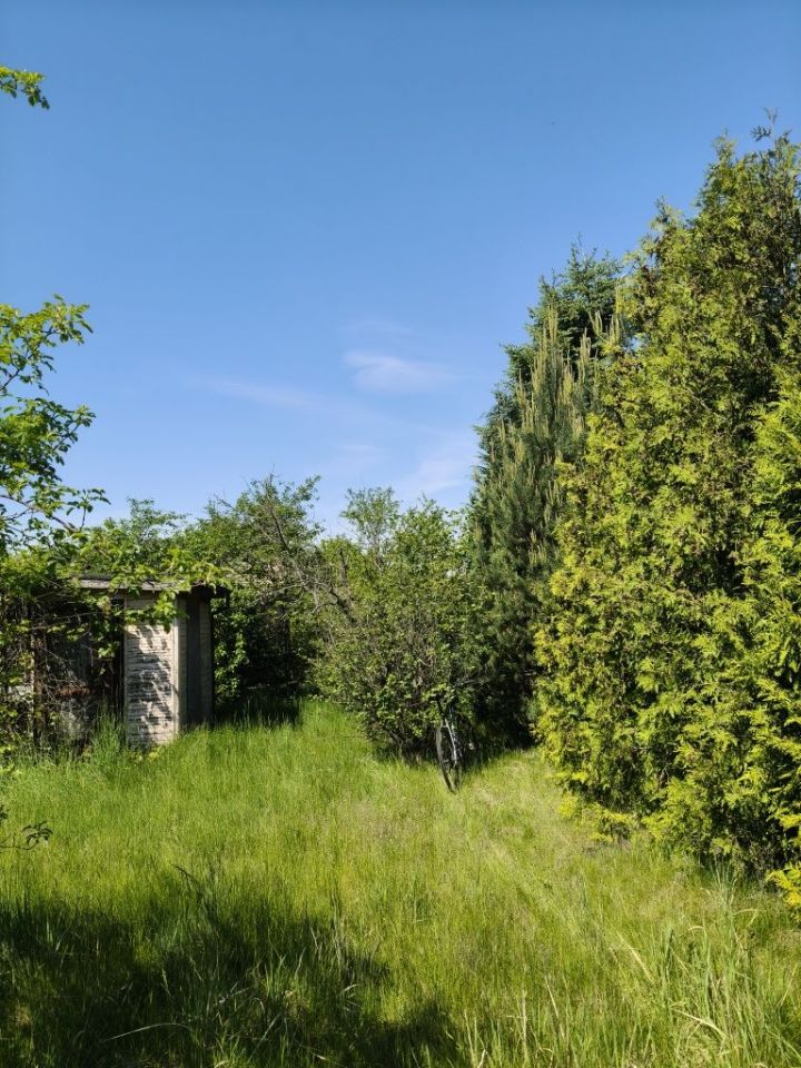 Działka rod Wrocław Krzyki. Zdjęcie 3