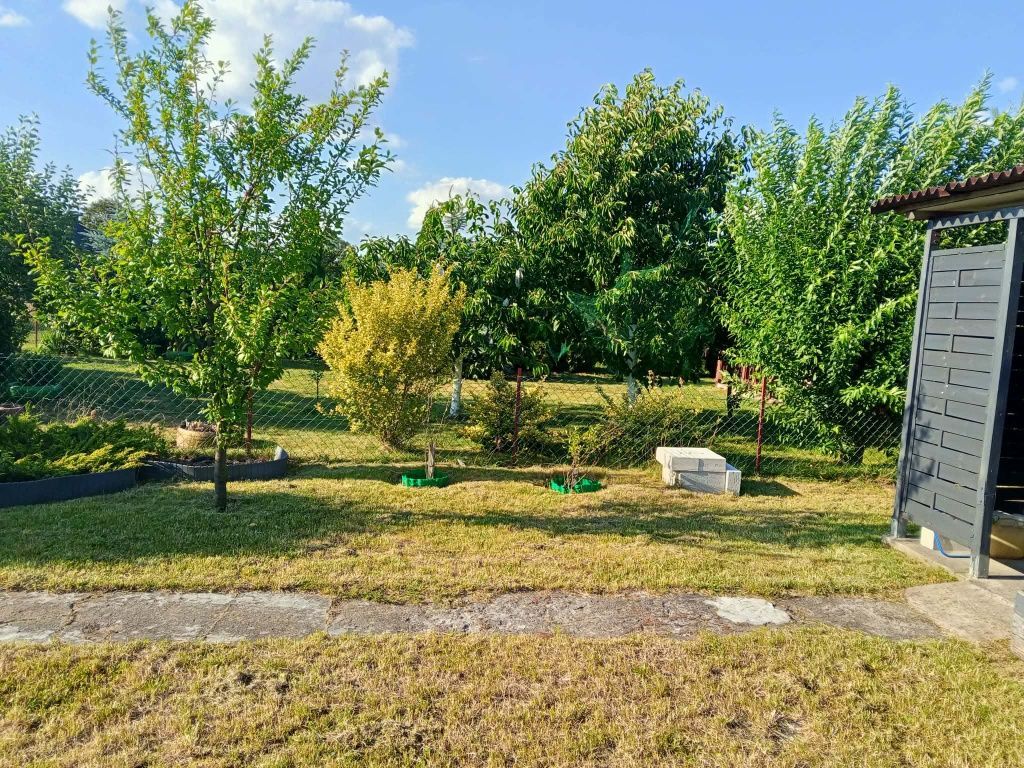 Działka rod Kłodawa. Zdjęcie 4
