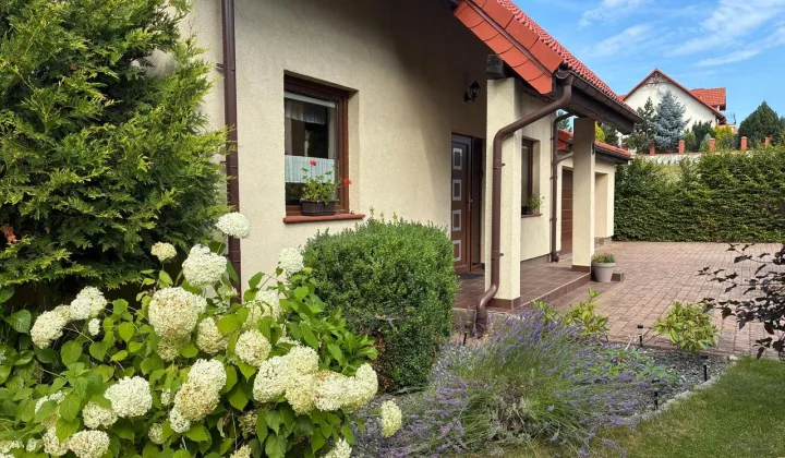 dom wolnostojący, 5 pokoi Strzelino, ul. Pogodna
