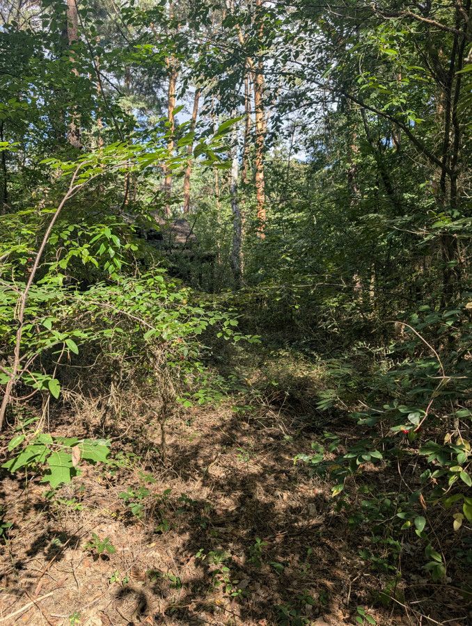 Działka budowlana Magdalenka, ul. Brzozowa. Zdjęcie 6