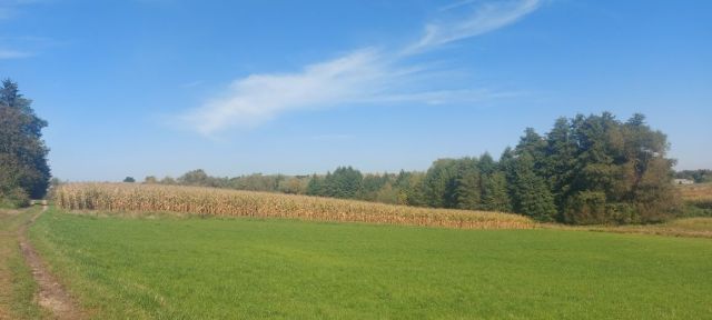 Działka rolno-budowlana Łaszów. Zdjęcie 1