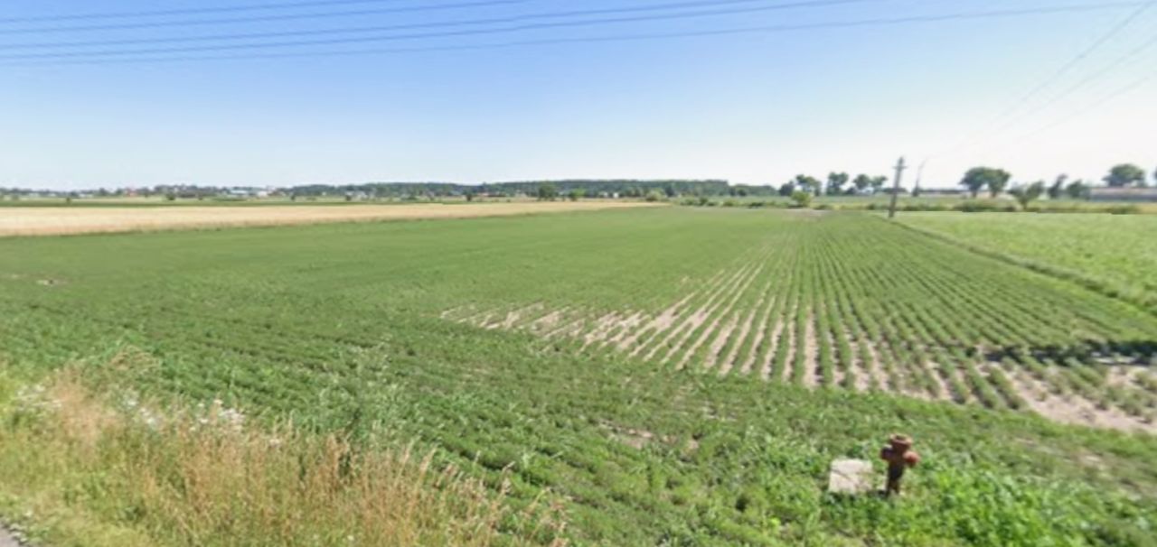 Działka budowlana Czołówek. Zdjęcie 4