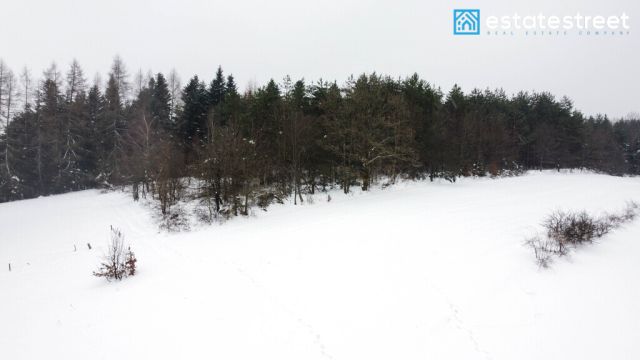 Działka rolna Kuźmina. Zdjęcie 3