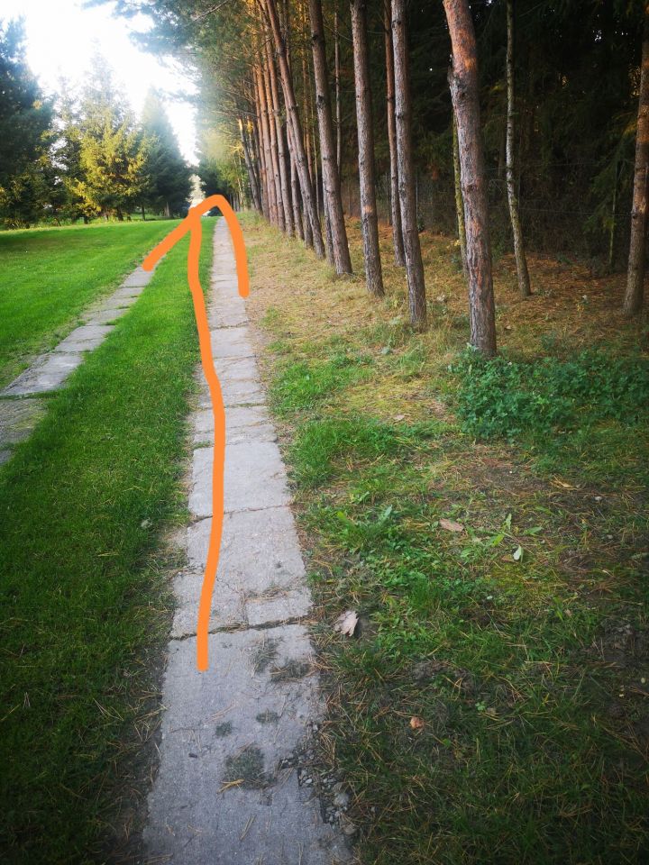 Działka rolna Liksajny. Zdjęcie 4