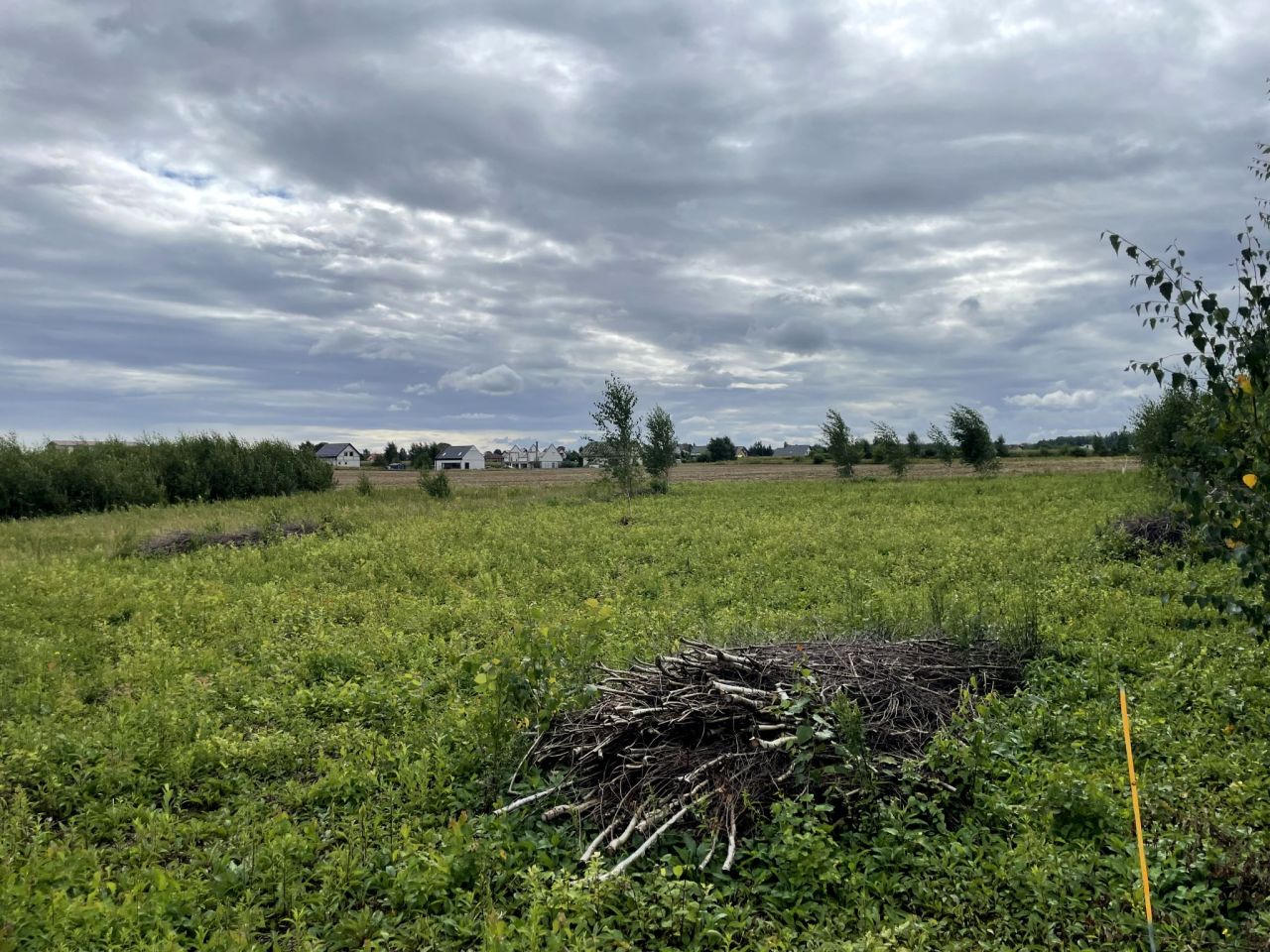 Działka budowlana Połchowo, ul. Polna. Zdjęcie 5