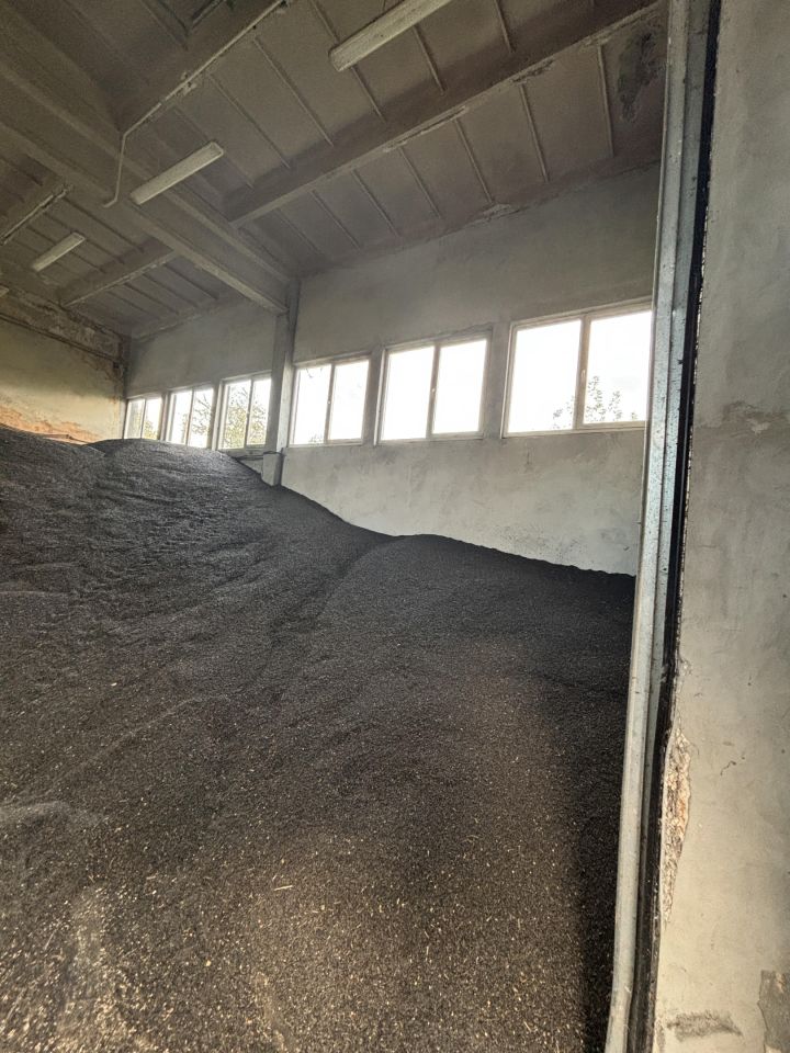 Hala/magazyn Siedliszowice. Zdjęcie 16