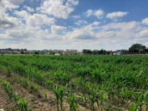 Działka budowlana Ruszowice, ul. Oliwkowa. Zdjęcie 2