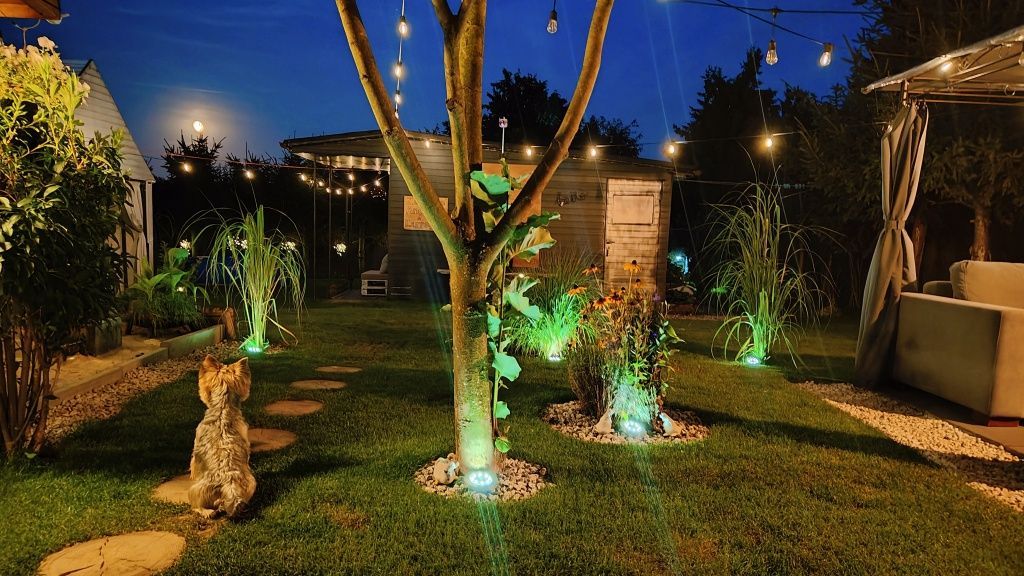 Działka rod Gniezno. Zdjęcie 7