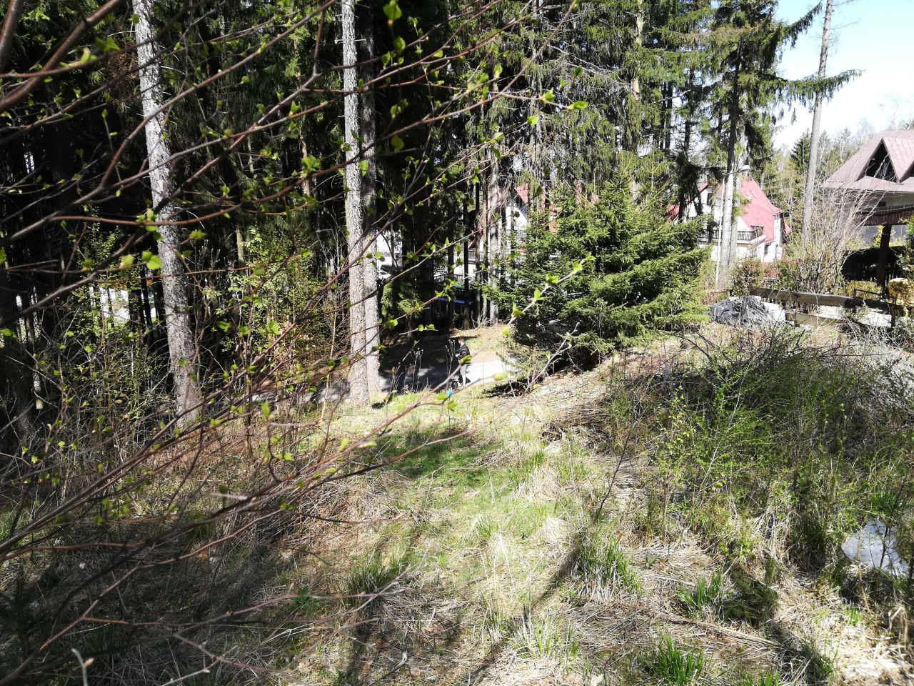 Działka inwestycyjna Karpacz Bierutowice, ul. Wita Stwosza. Zdjęcie 6