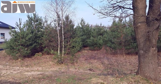 Działka budowlana Łajski, ul. gen. Władysława Sikorskiego. Zdjęcie 3
