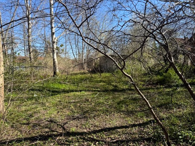 Działka budowlana Pasym, ul. Ostrów. Zdjęcie 13