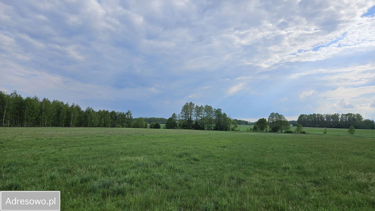 Działka rolno-budowlana Łubin Kościelny. Zdjęcie 8