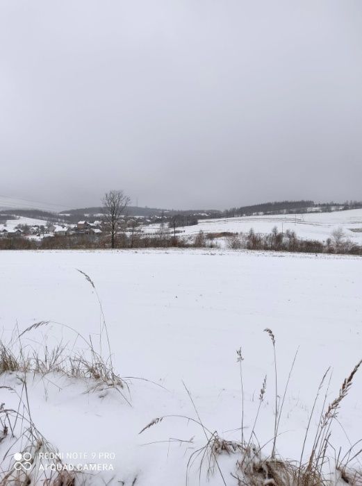 Działka rolno-budowlana Zagórze. Zdjęcie 5
