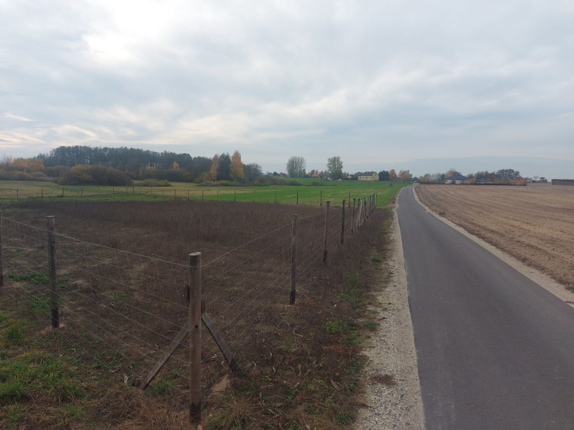 Działka budowlana Torzewo. Zdjęcie 2